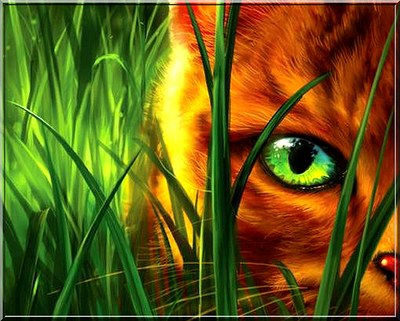 La guerre des clans Retour à létat sauvage cycle 1 livre 1 Erin Hunter 