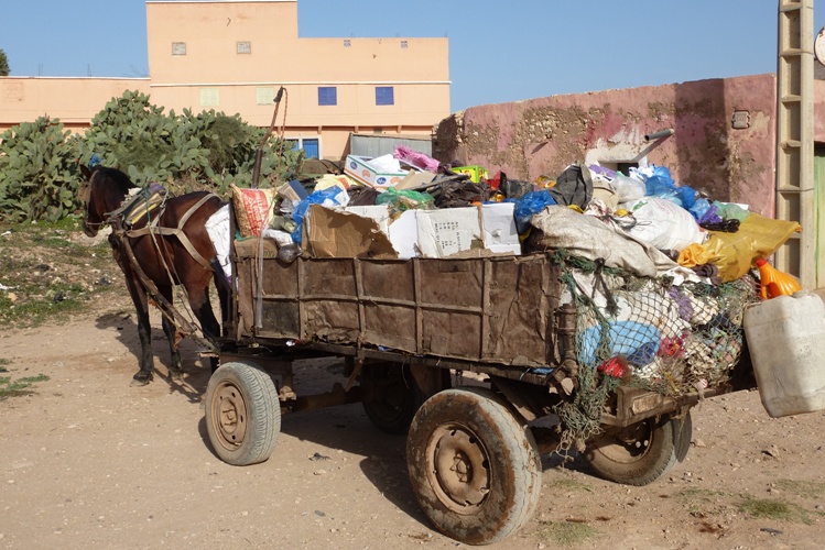 Sidi Bibi (collecte de déchets)