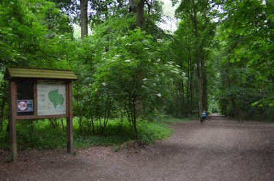 Bois de Laerbeek