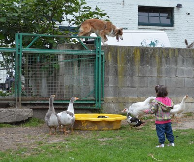 Animateur Ferme pour enfants