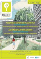 1.12 : Assemblée générale de quartier sur le réaménagement du site Esseghem