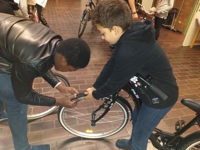 Cyclo (17)