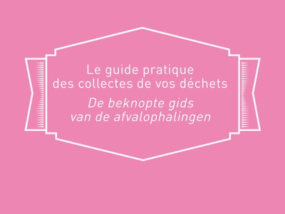 Praktische gids over vuilnisophaling Net Brussel