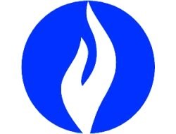 Logo politie