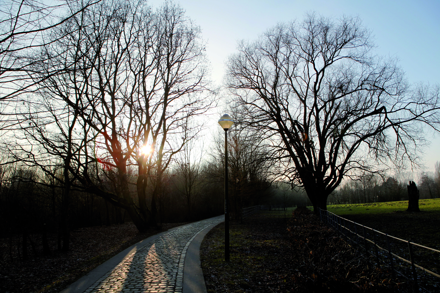 Het Laarbeekbos bij valavond