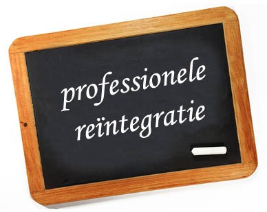 Professionele reïntegratie